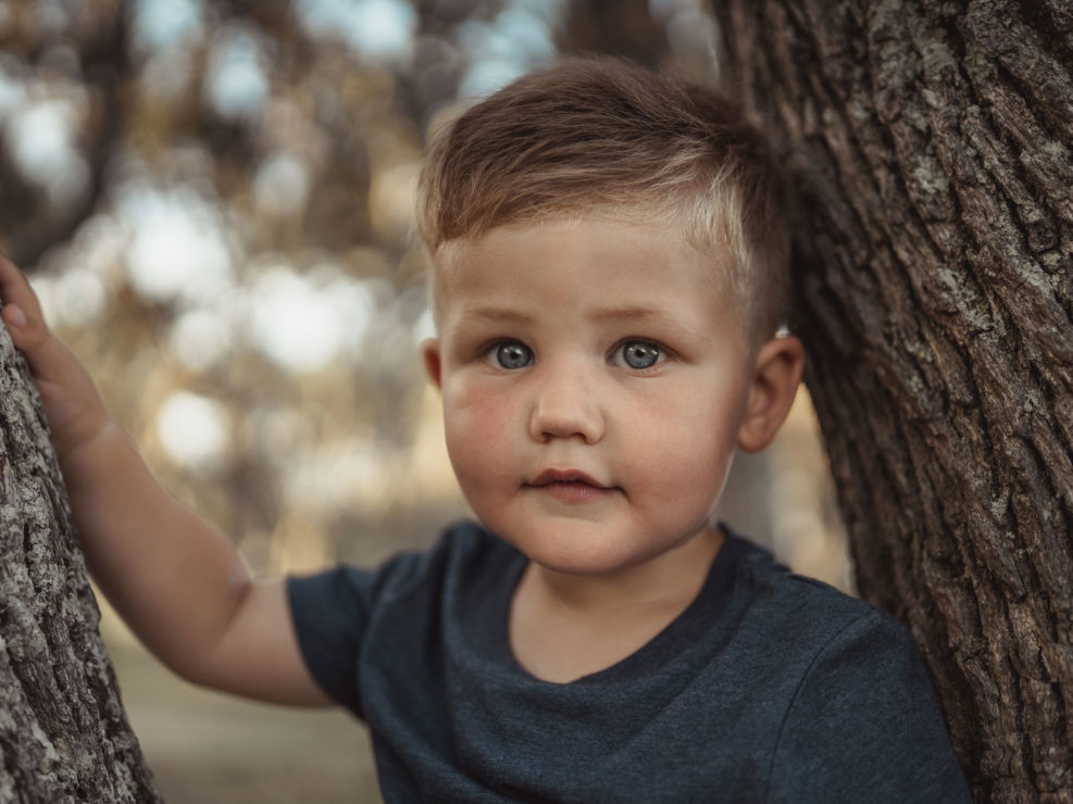 Portrait of a young boy sitting in a tree at Fort Fisher captured by Wilmington, NC family photographer Salty Star Photography